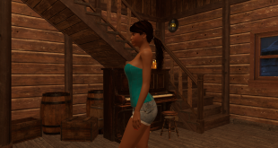 3DXChat Updates